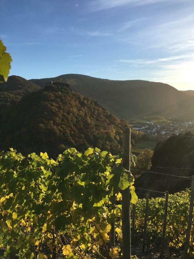 Stadthotel Arte 3* Remagen